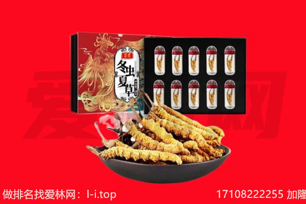 东莞虎门镇回收虫草.jpg